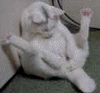 : 657.gif
: 471

: 38.7 